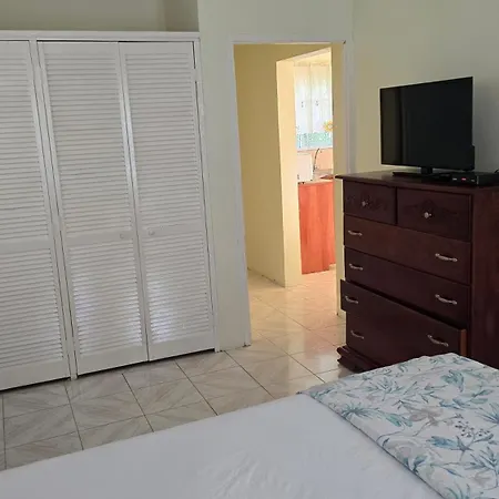 Wizzy Apartment White River Ocho Rios Exterior photo