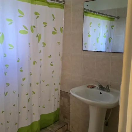 Wizzy Apartment White River Ocho Rios Room photo