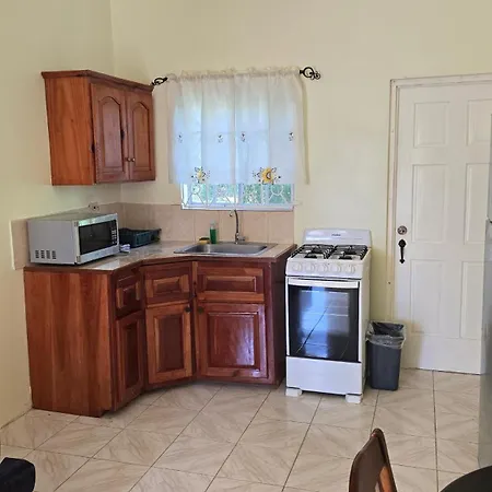 Wizzy Apartment White River Ocho Rios Exterior photo