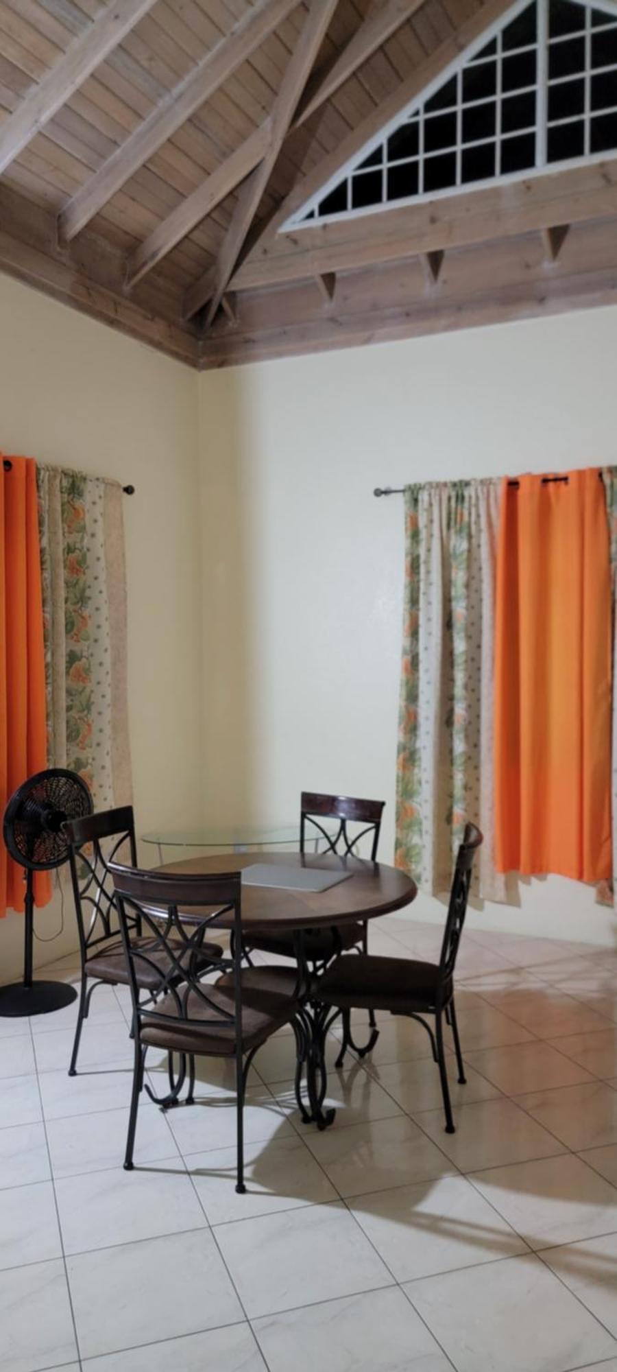 Wizzy White River Apartment Ocho Rios