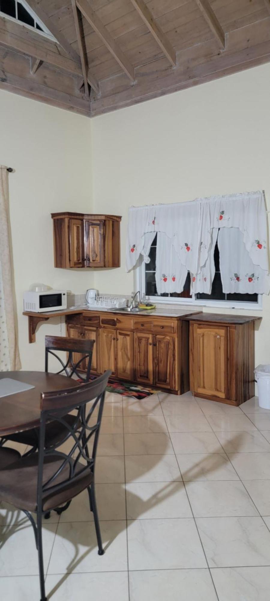 Wizzy White River Apartment Ocho Rios