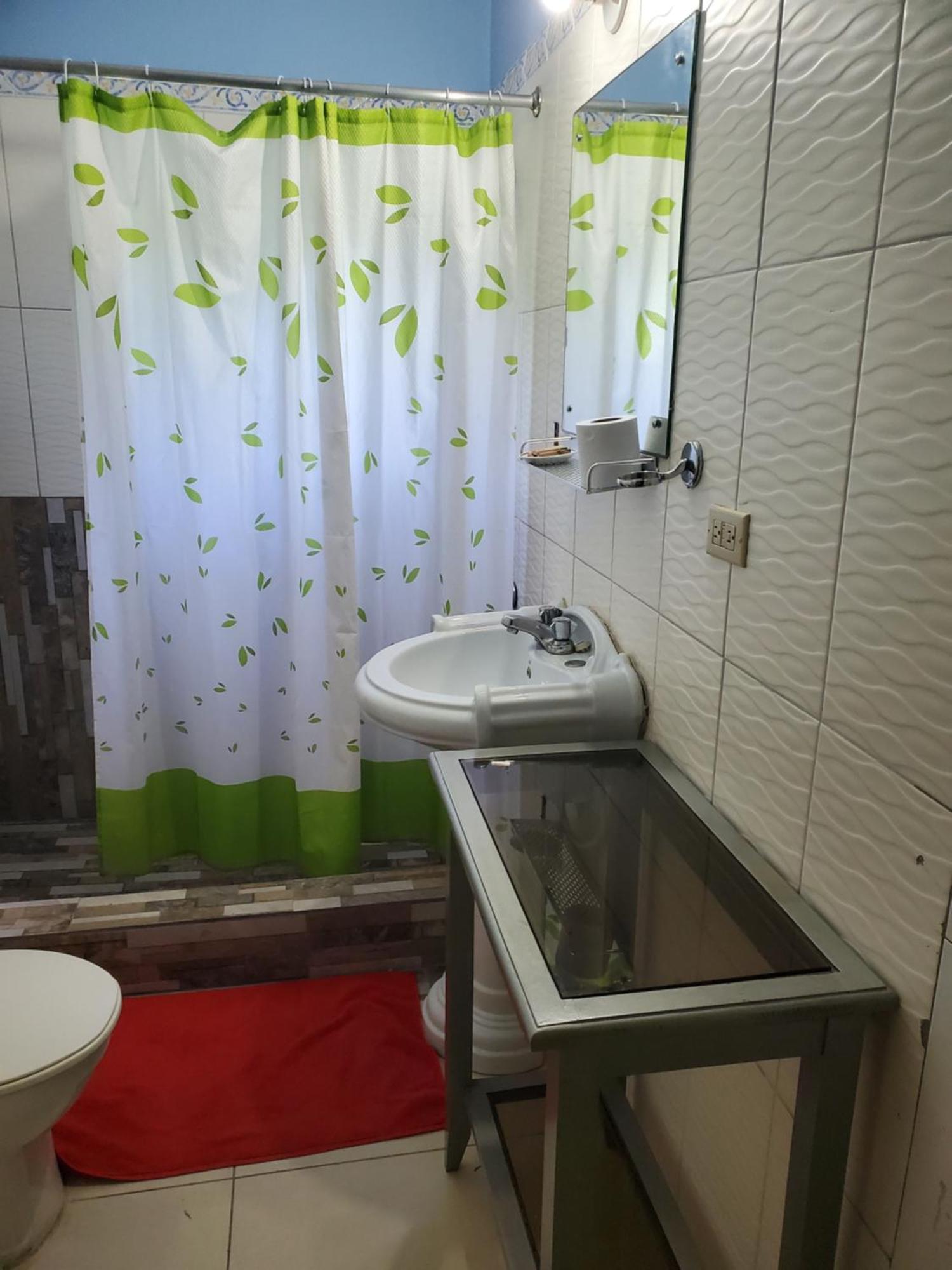 Apartment Wizzy White River Ocho Rios
