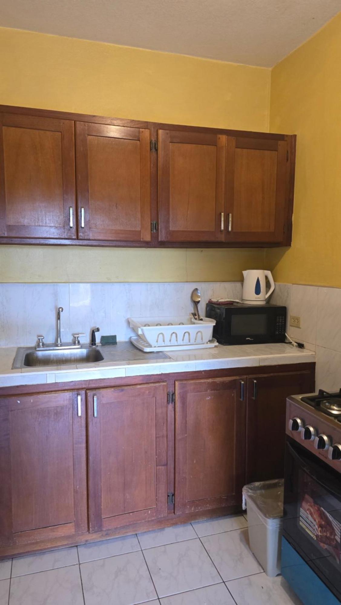 Wizzy White River Apartment Ocho Rios