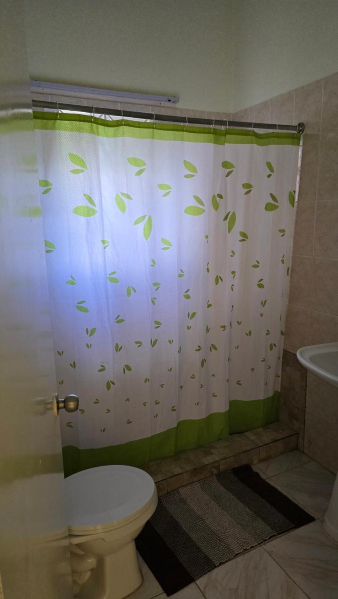 Apartment Wizzy White River Ocho Rios